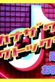 TikTok配信